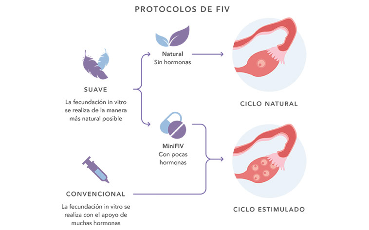 Protocolo FIV Natural